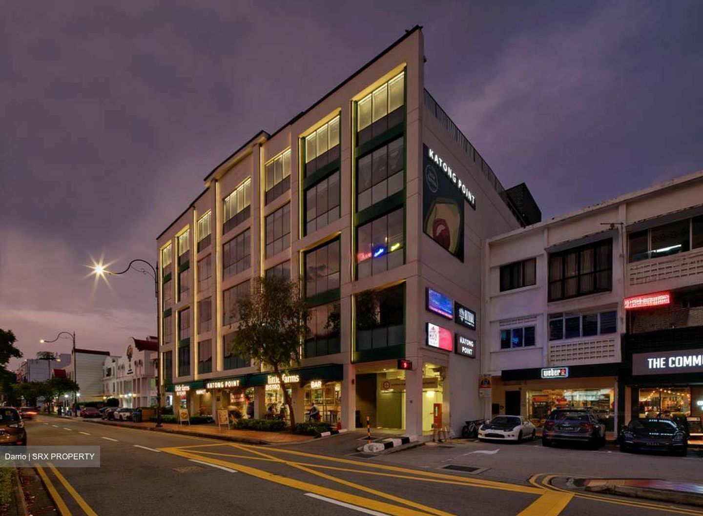 Breezeway In Katong (D15), Shop House #487816241